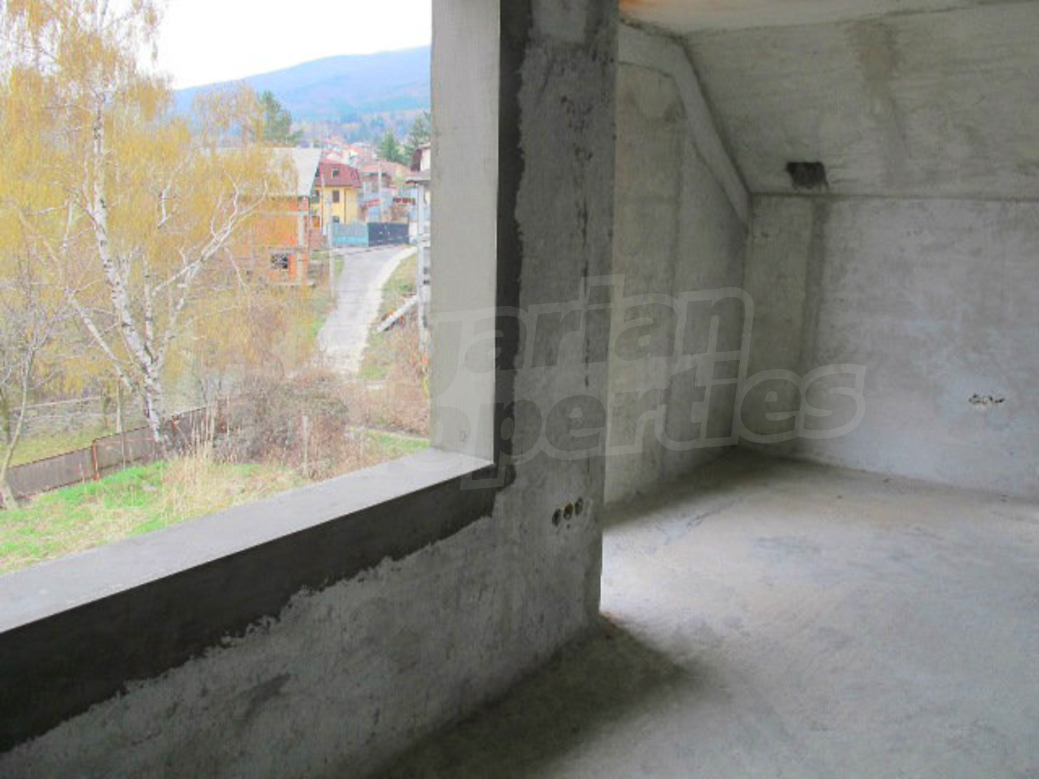 Gallery Picture 16