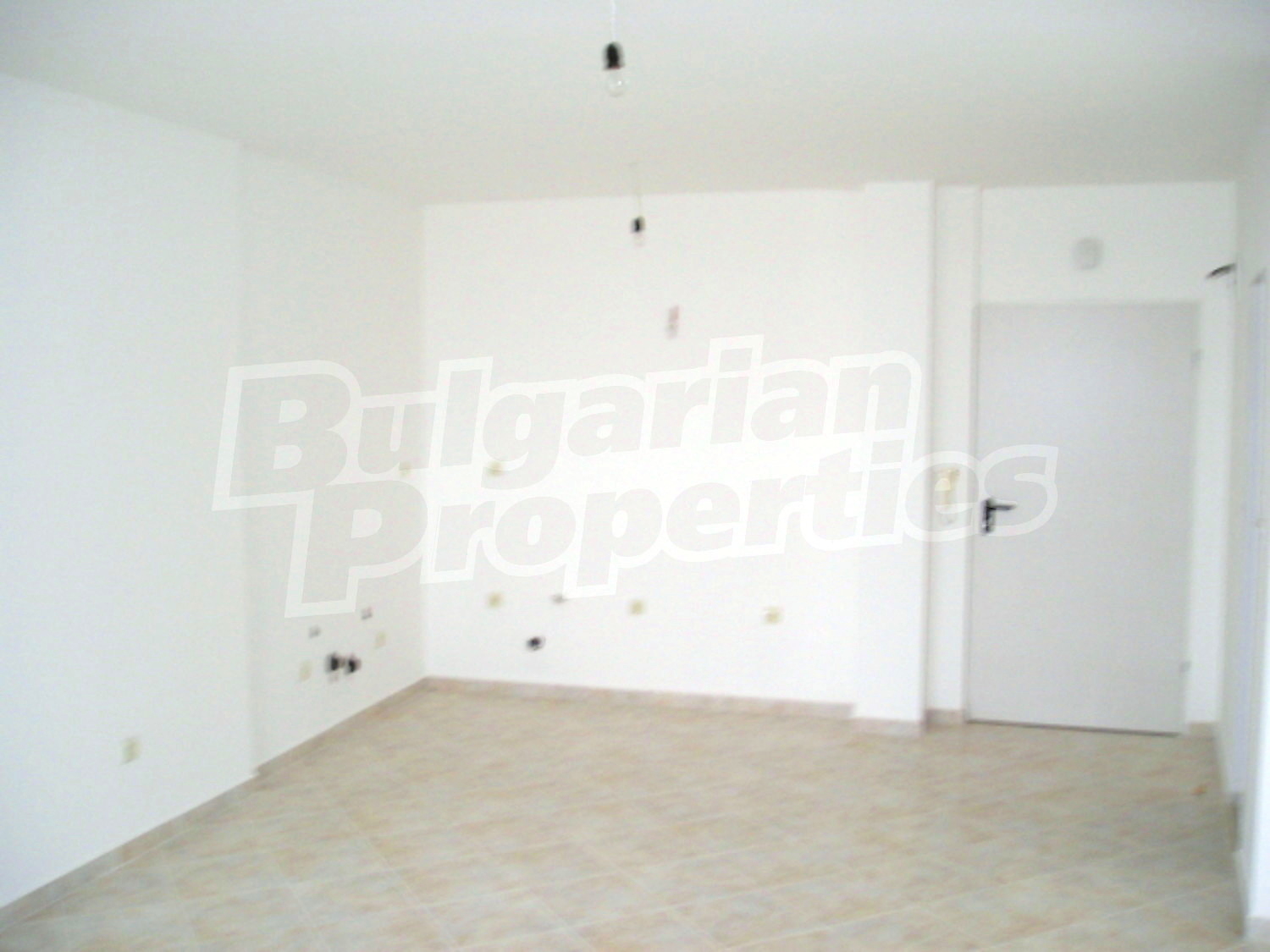 Gallery Picture 31
