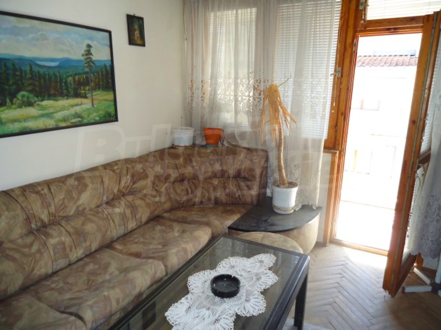 Gallery Picture 13