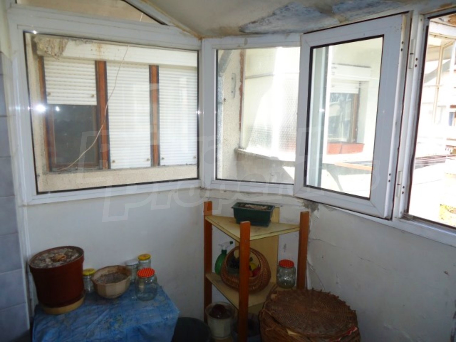 Gallery Picture 5