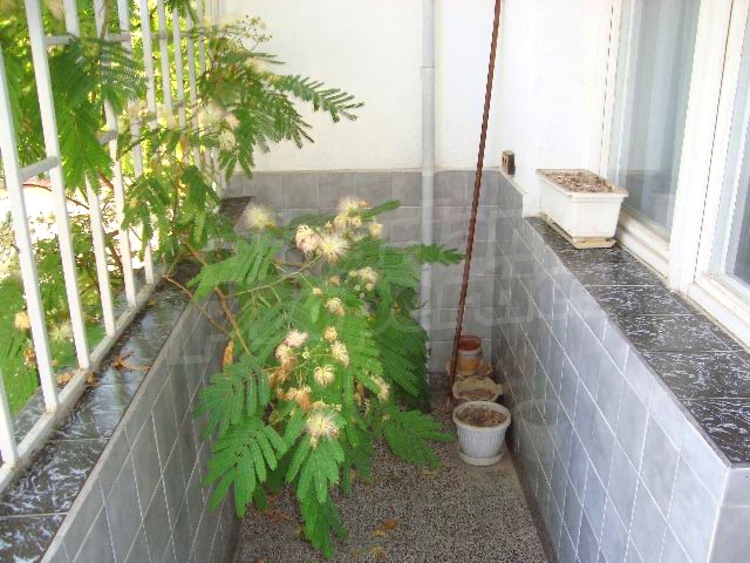 Gallery Picture 15