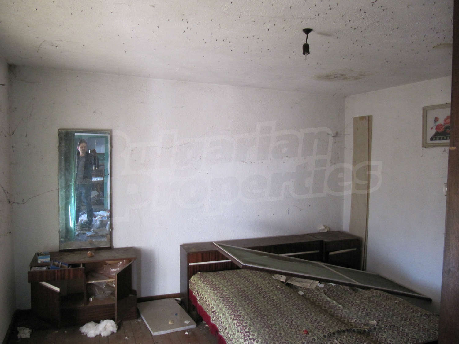 Gallery Picture 11