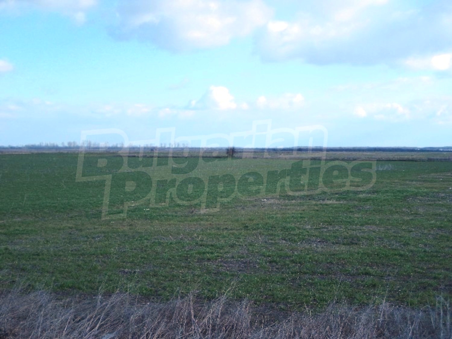Gallery Picture 5