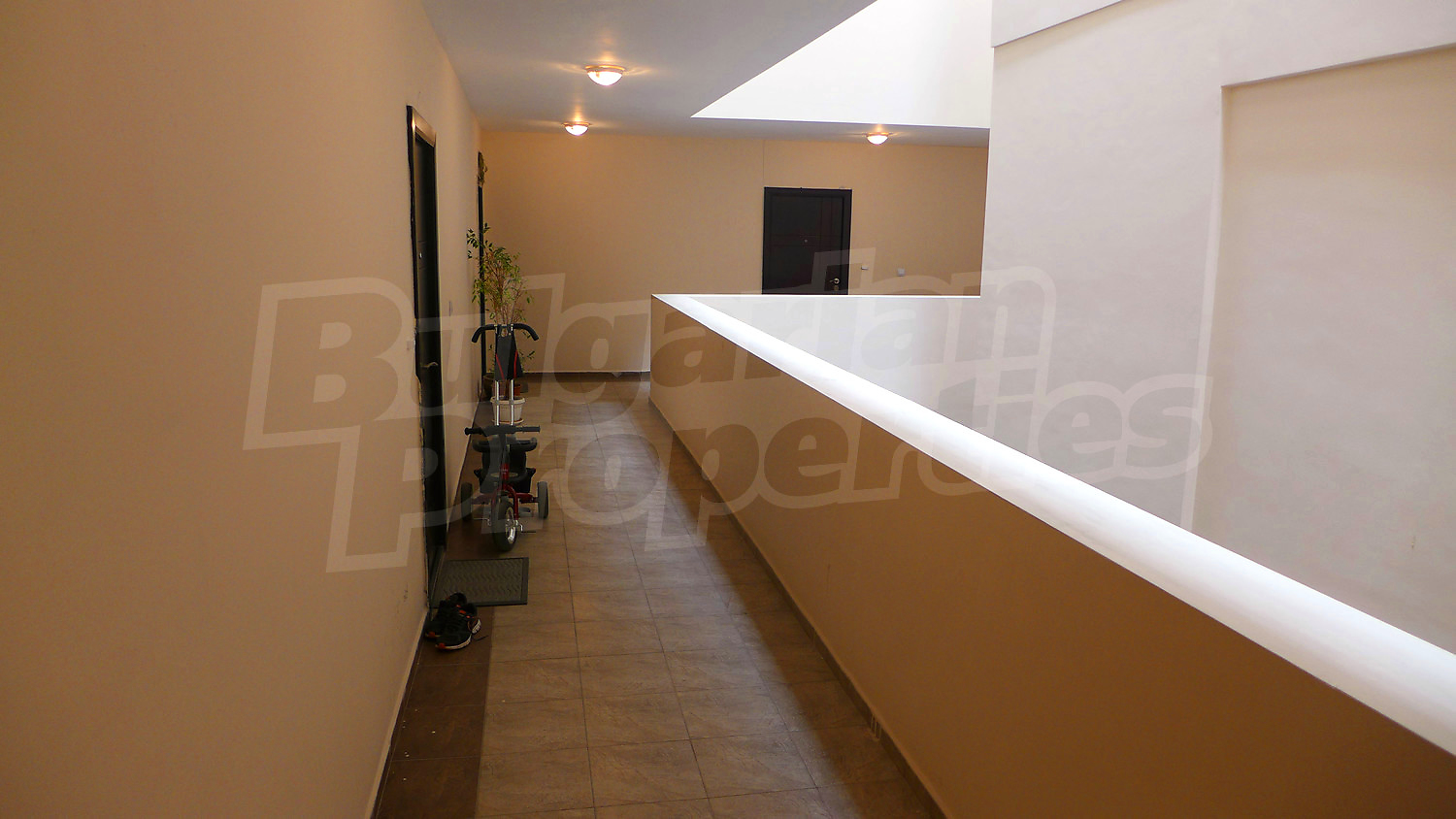 Gallery Picture 28
