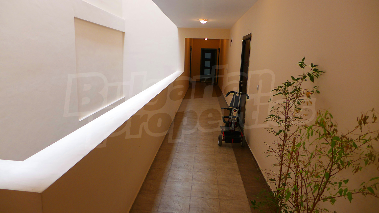 Gallery Picture 29