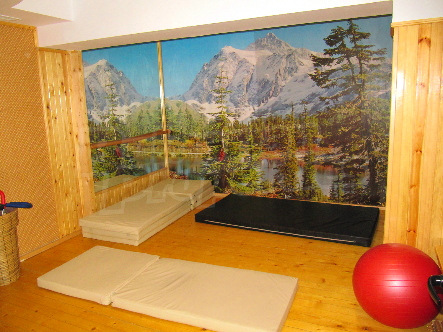 Gallery Picture 12