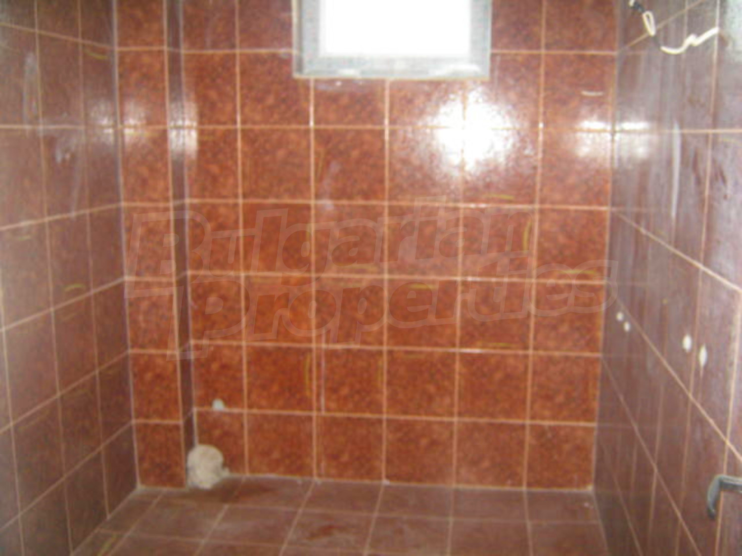 Gallery Picture 10
