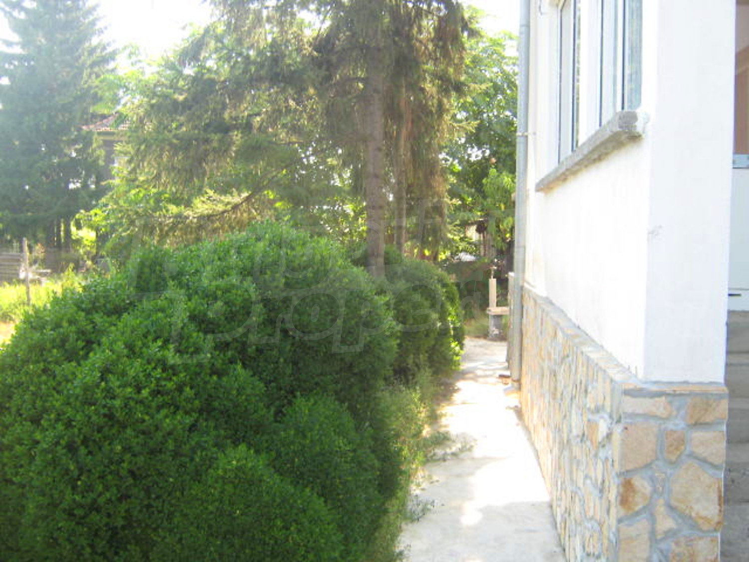 Gallery Picture 11