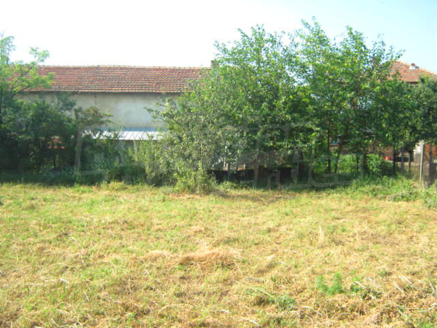 Gallery Picture 14