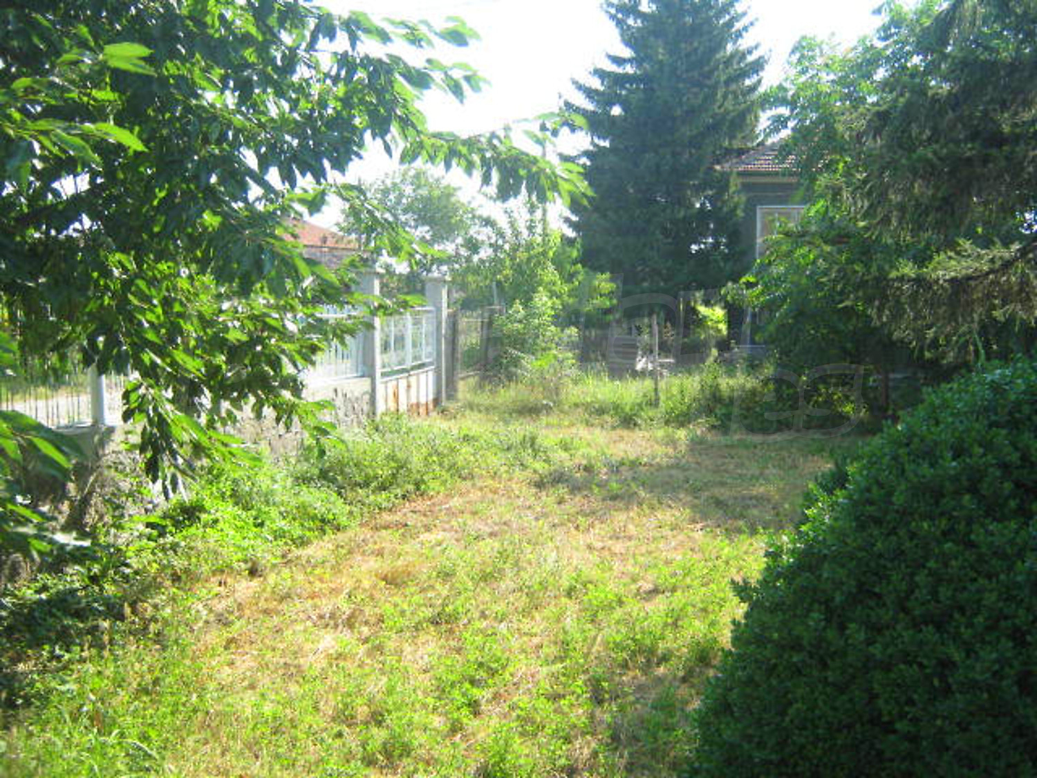 Gallery Picture 15
