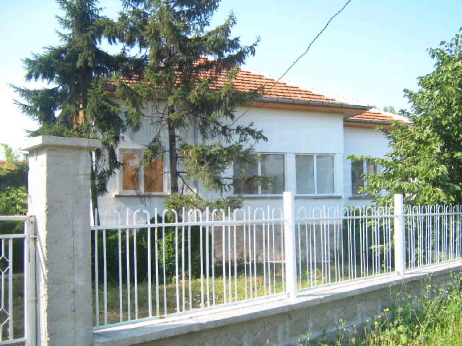 Gallery Picture 17