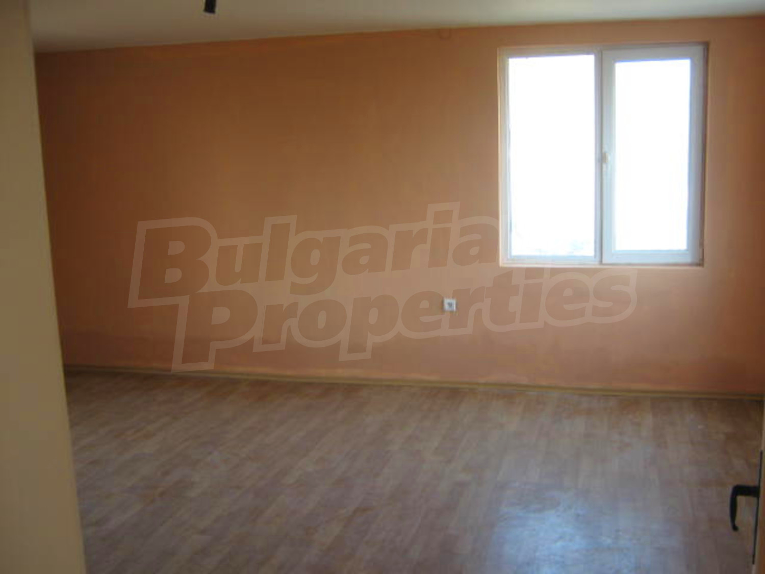 Gallery Picture 7