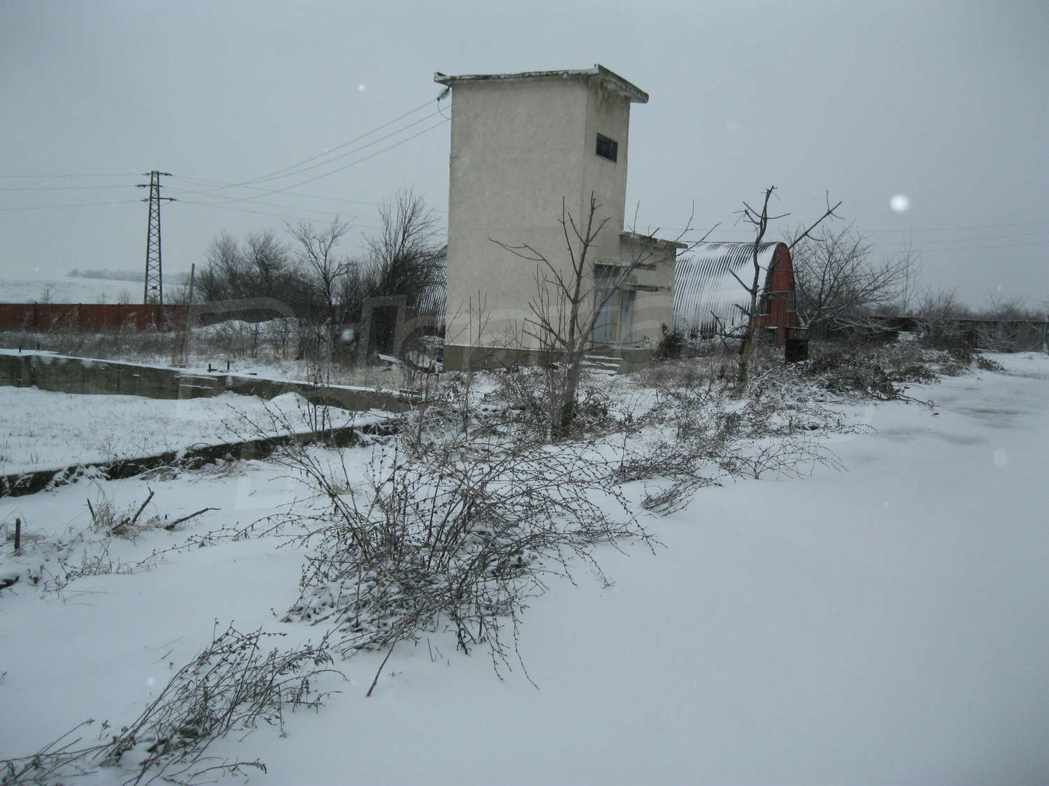 Gallery Picture 10