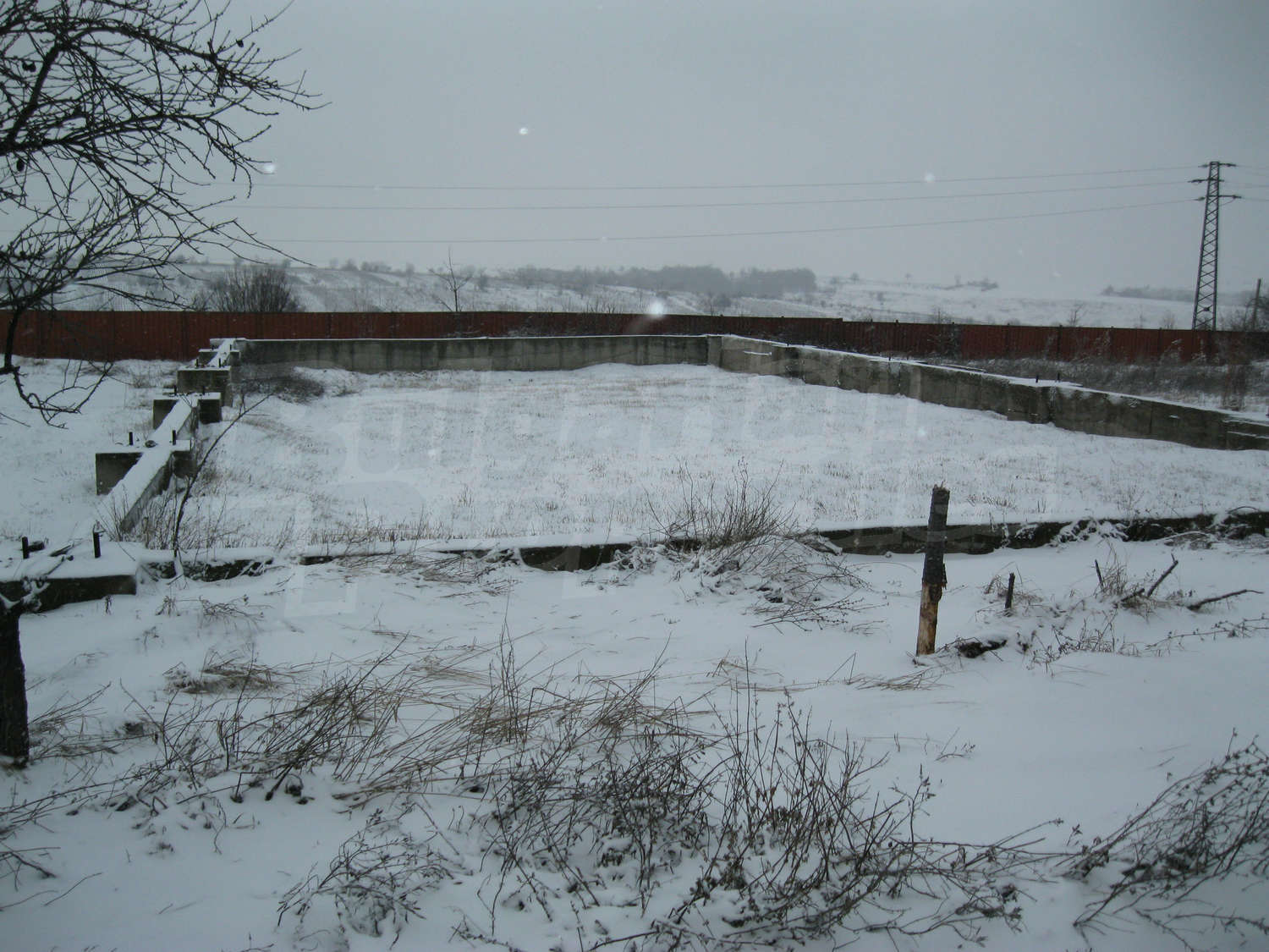 Gallery Picture 11