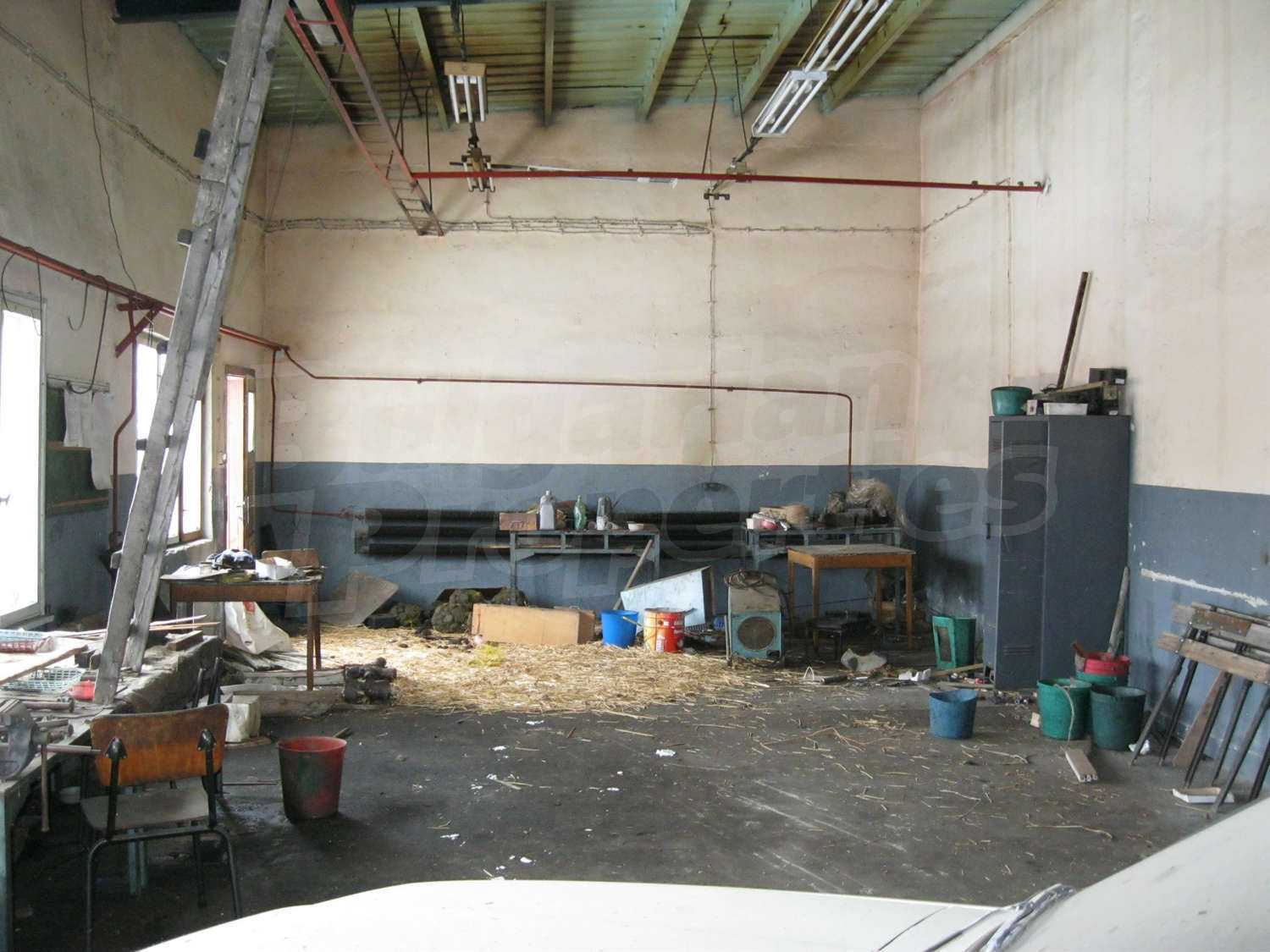 Gallery Picture 13