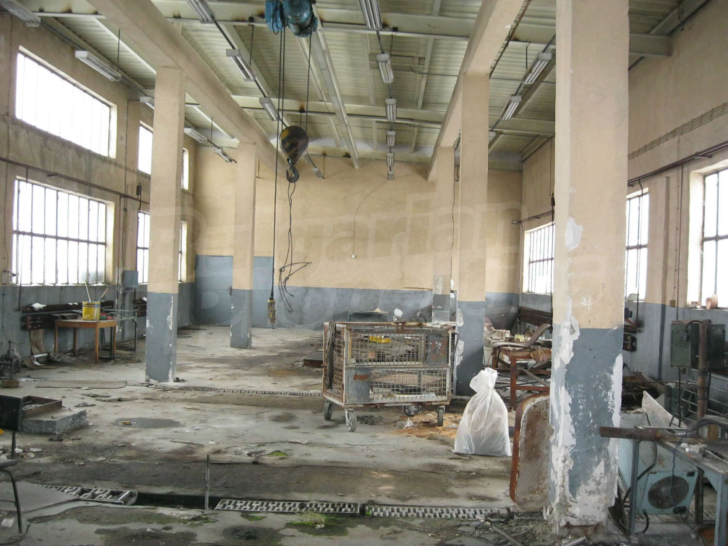 Gallery Picture 14