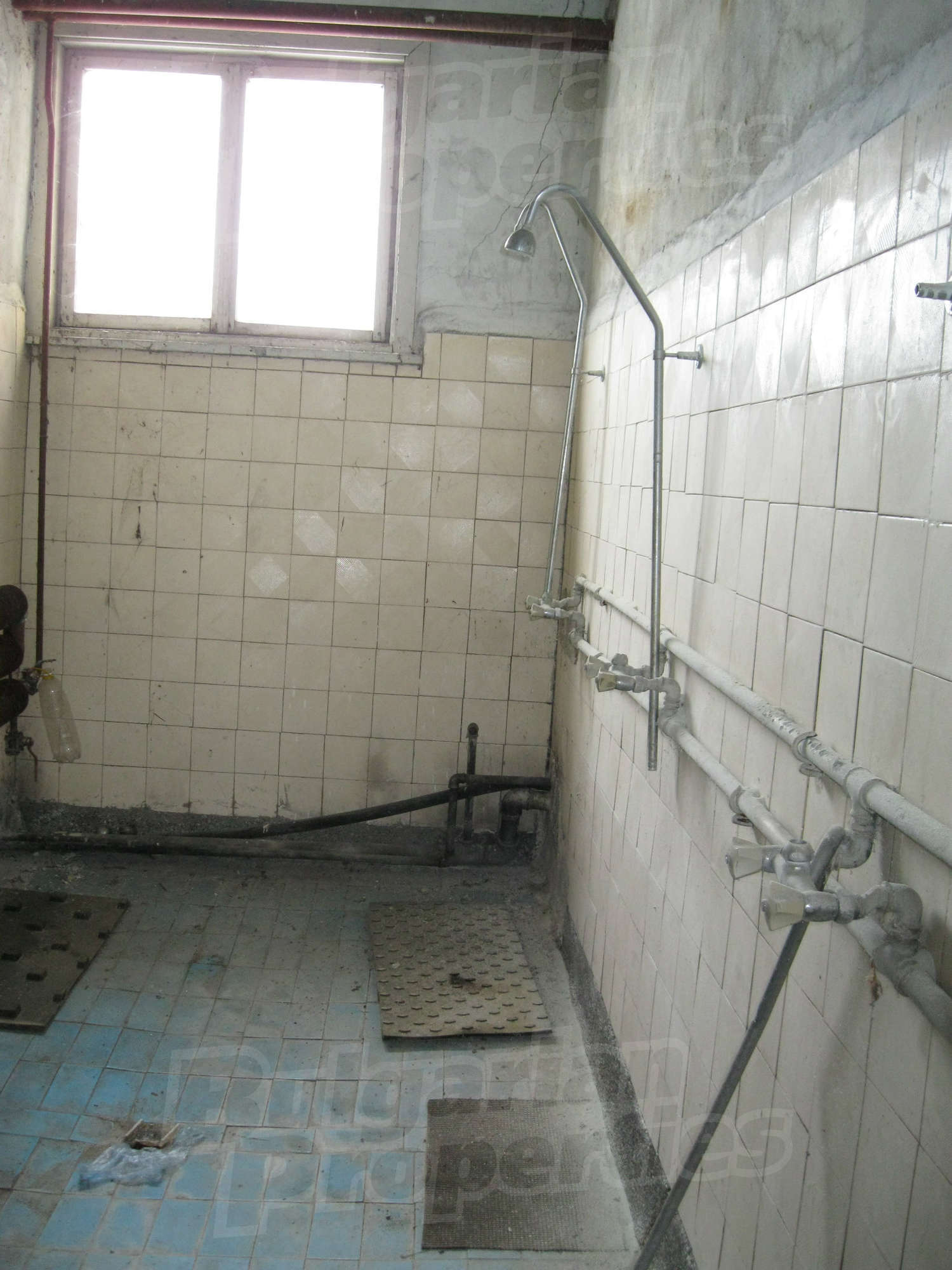 Gallery Picture 16