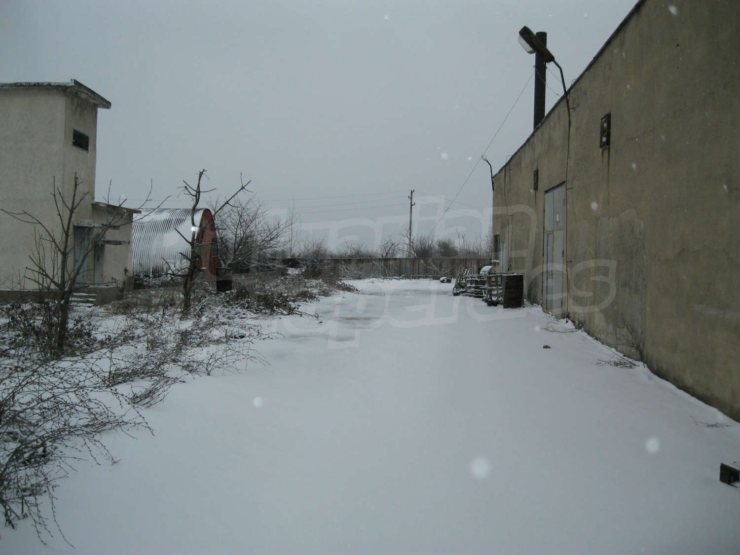 Gallery Picture 9