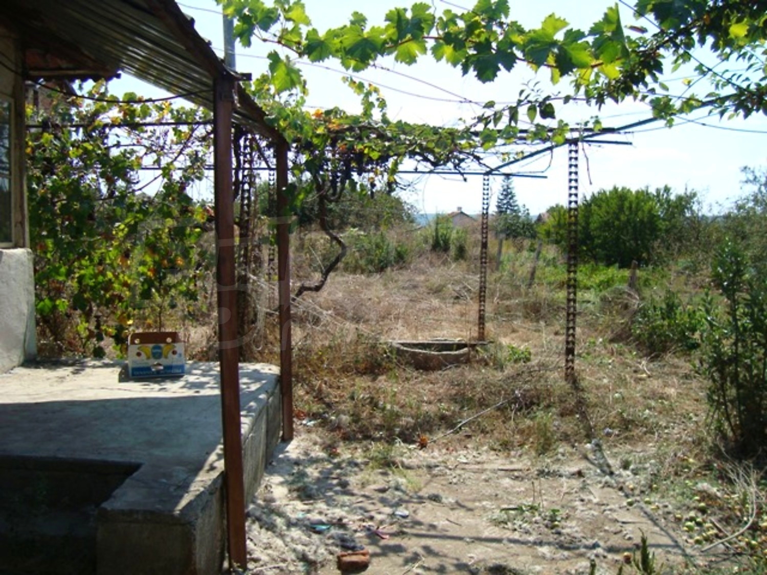 Gallery Picture 3