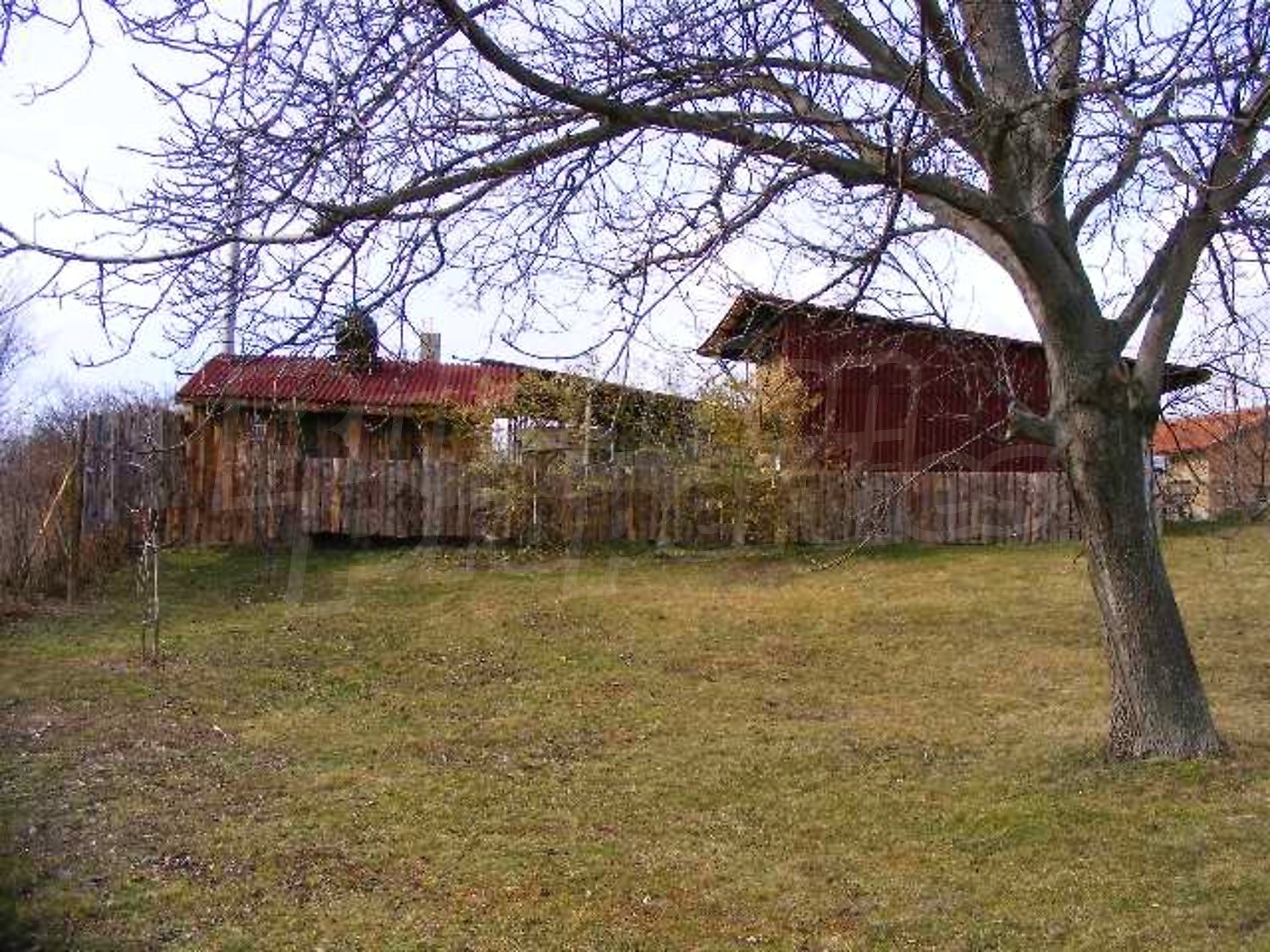 Gallery Picture 20