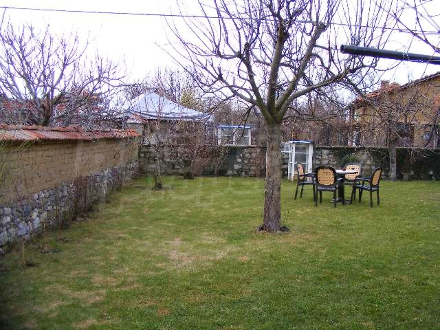 Gallery Picture 21