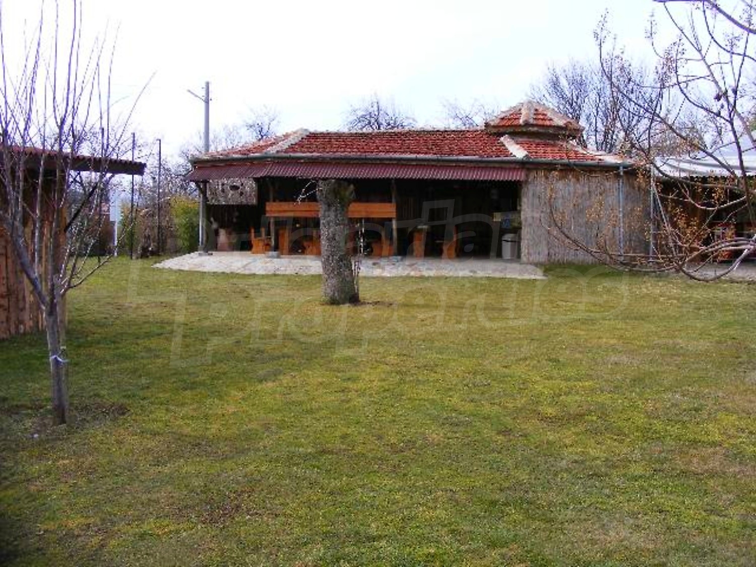 Gallery Picture 34
