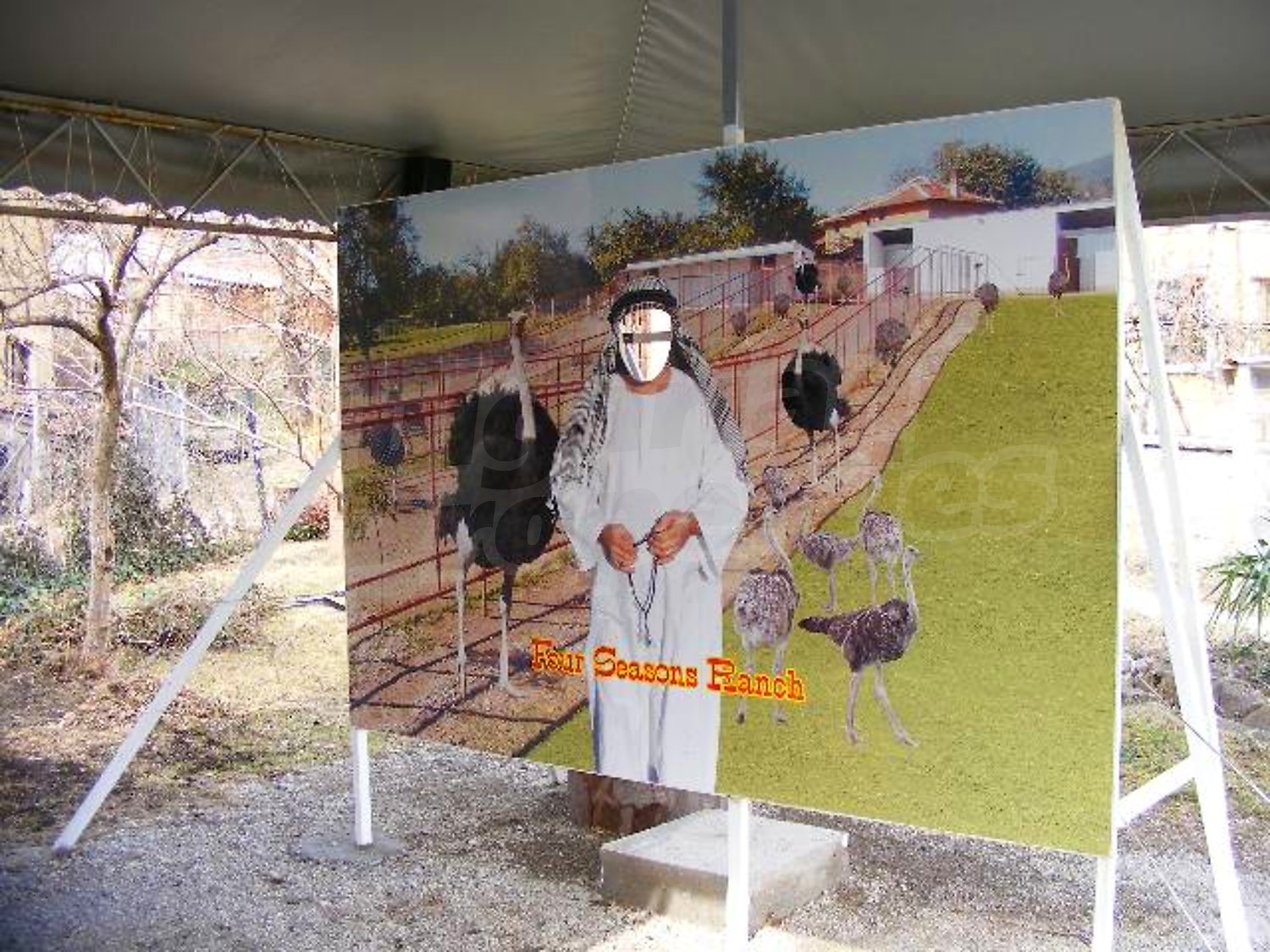 Gallery Picture 37