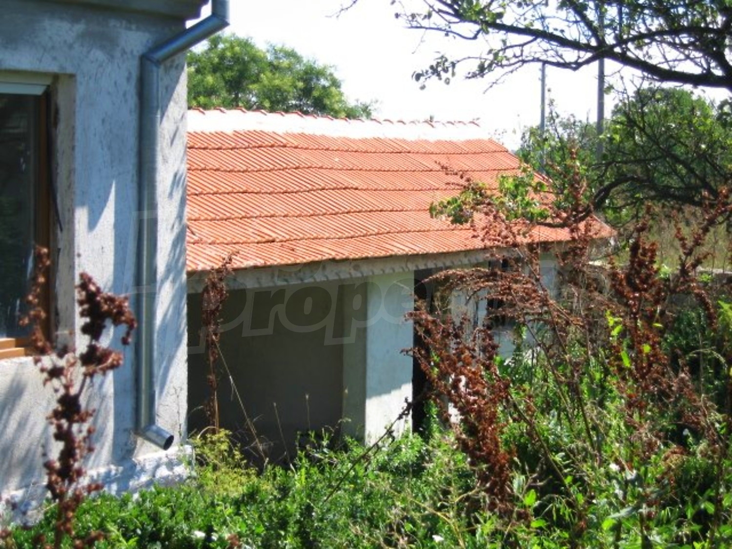 Gallery Picture 7