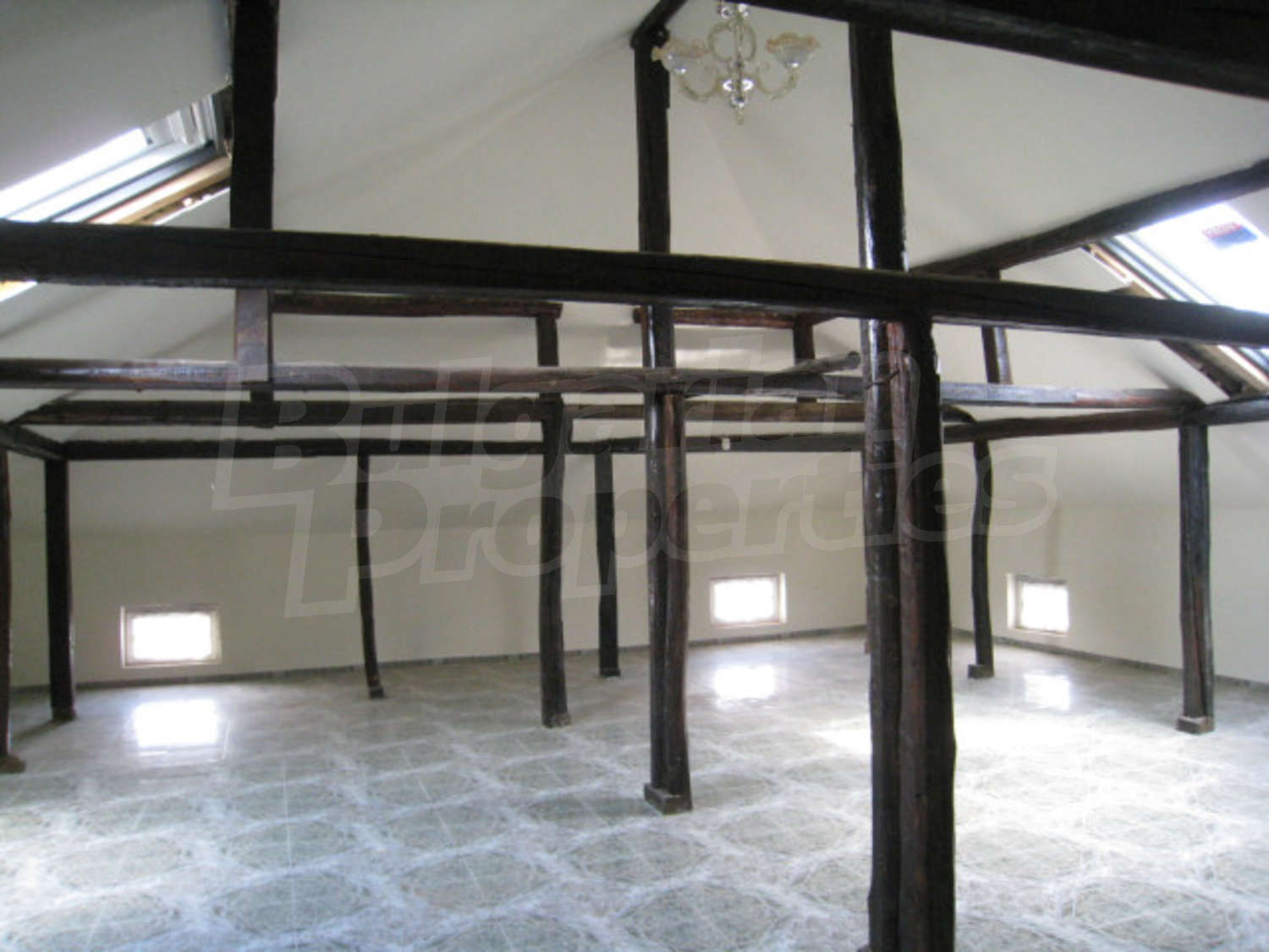 Gallery Picture 19