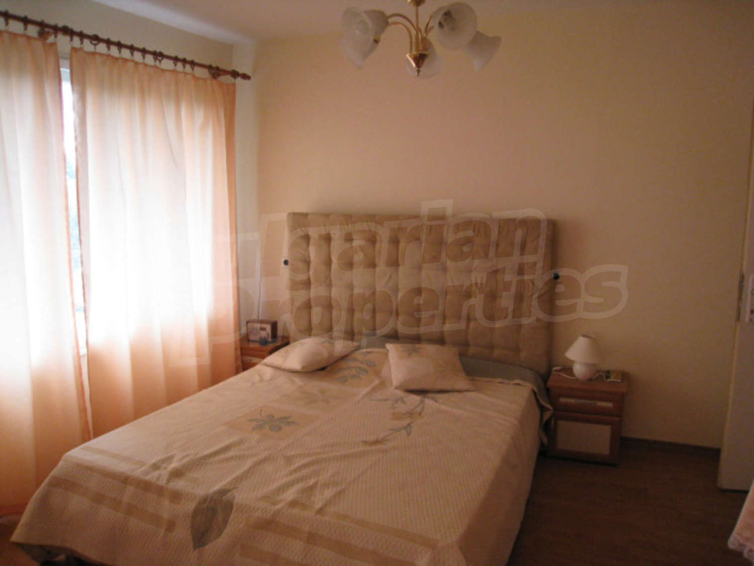 Gallery Picture 10