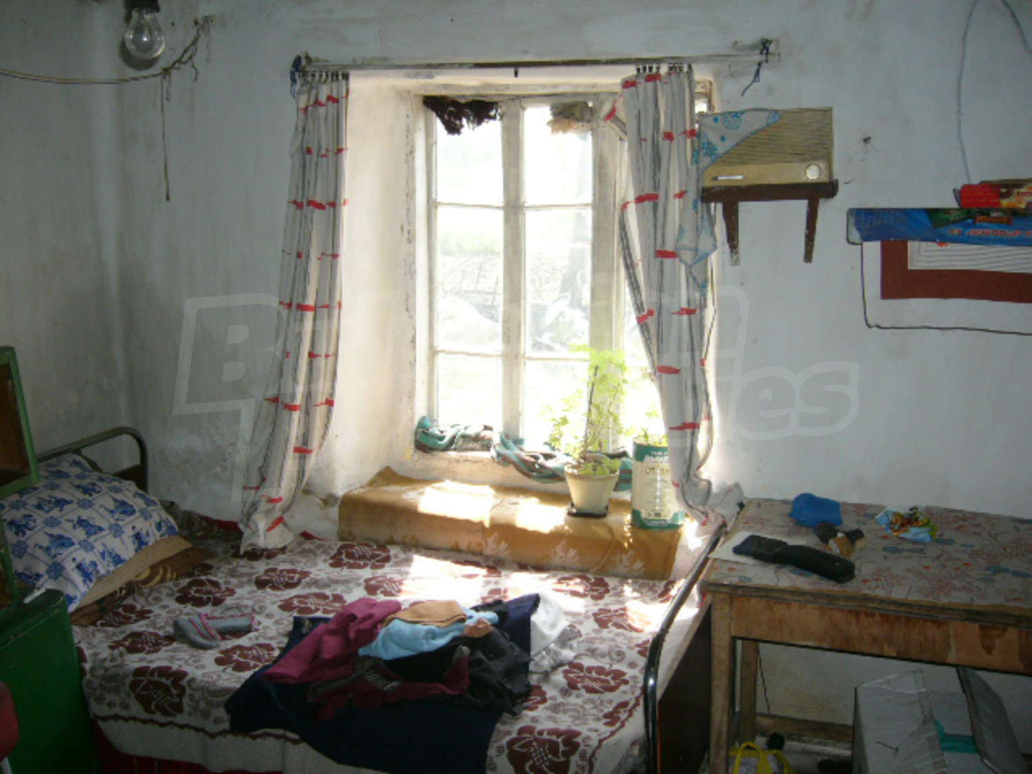 Gallery Picture 5