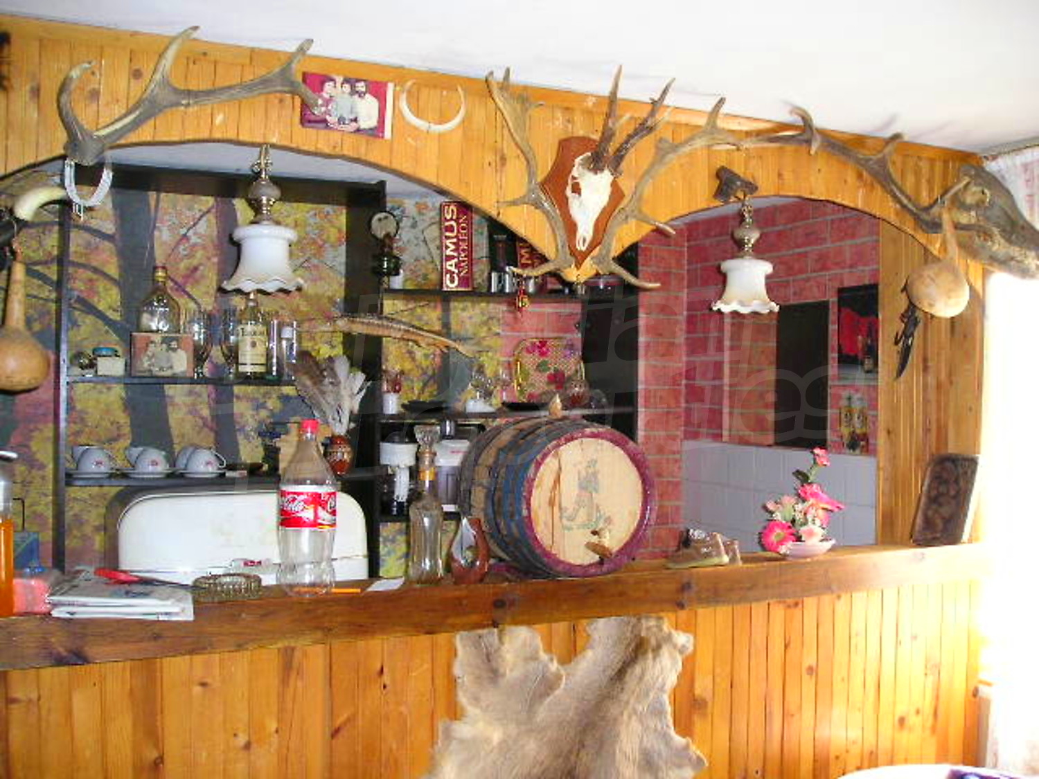 Gallery Picture 15