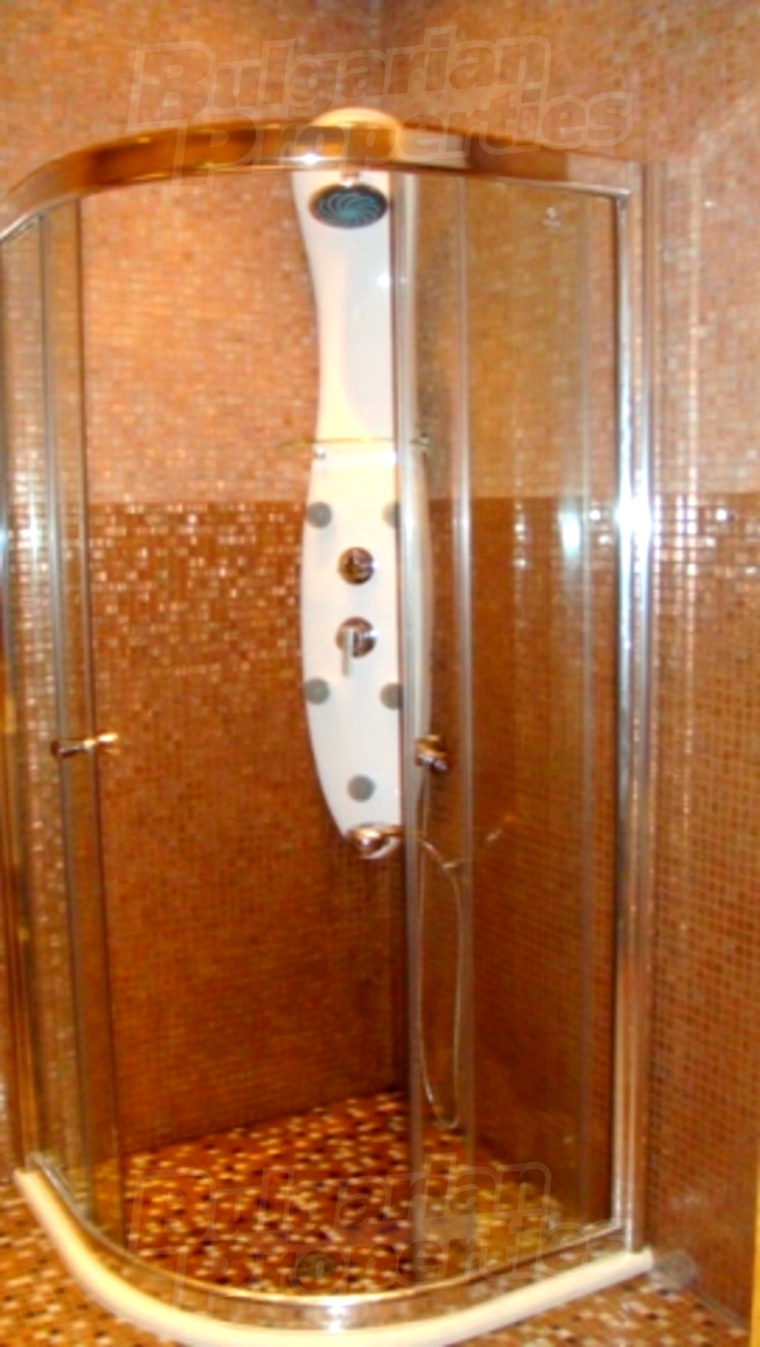 Gallery Picture 14