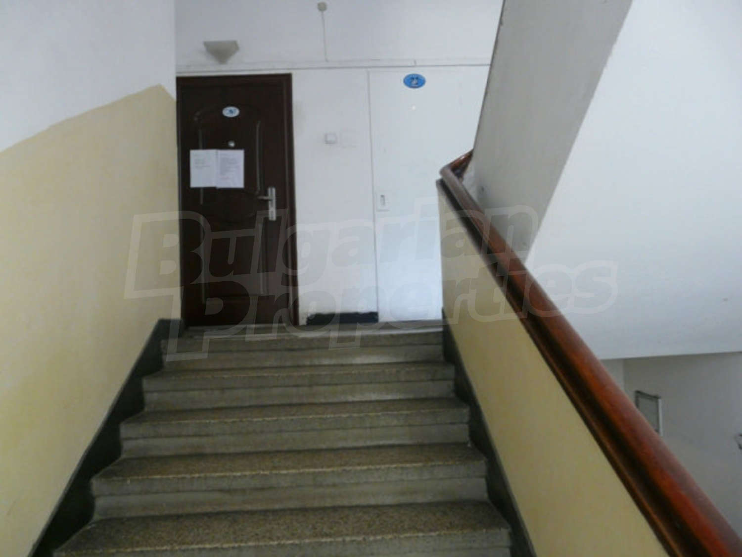 Gallery Picture 15
