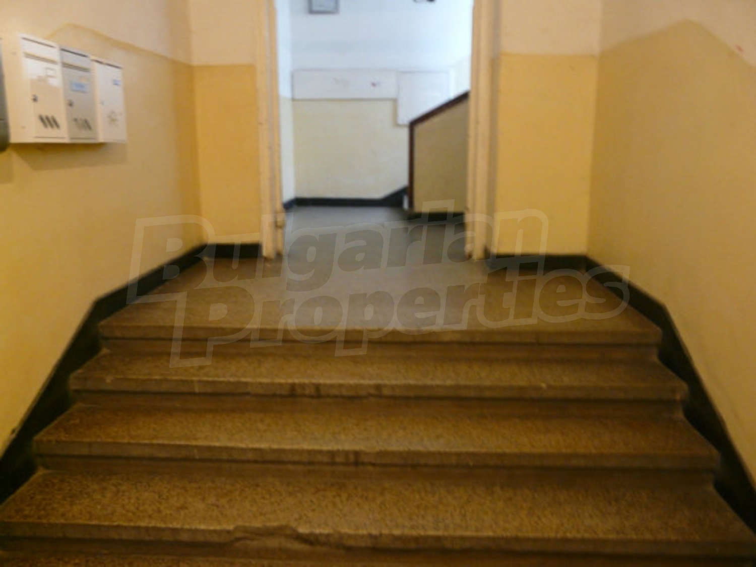Gallery Picture 16
