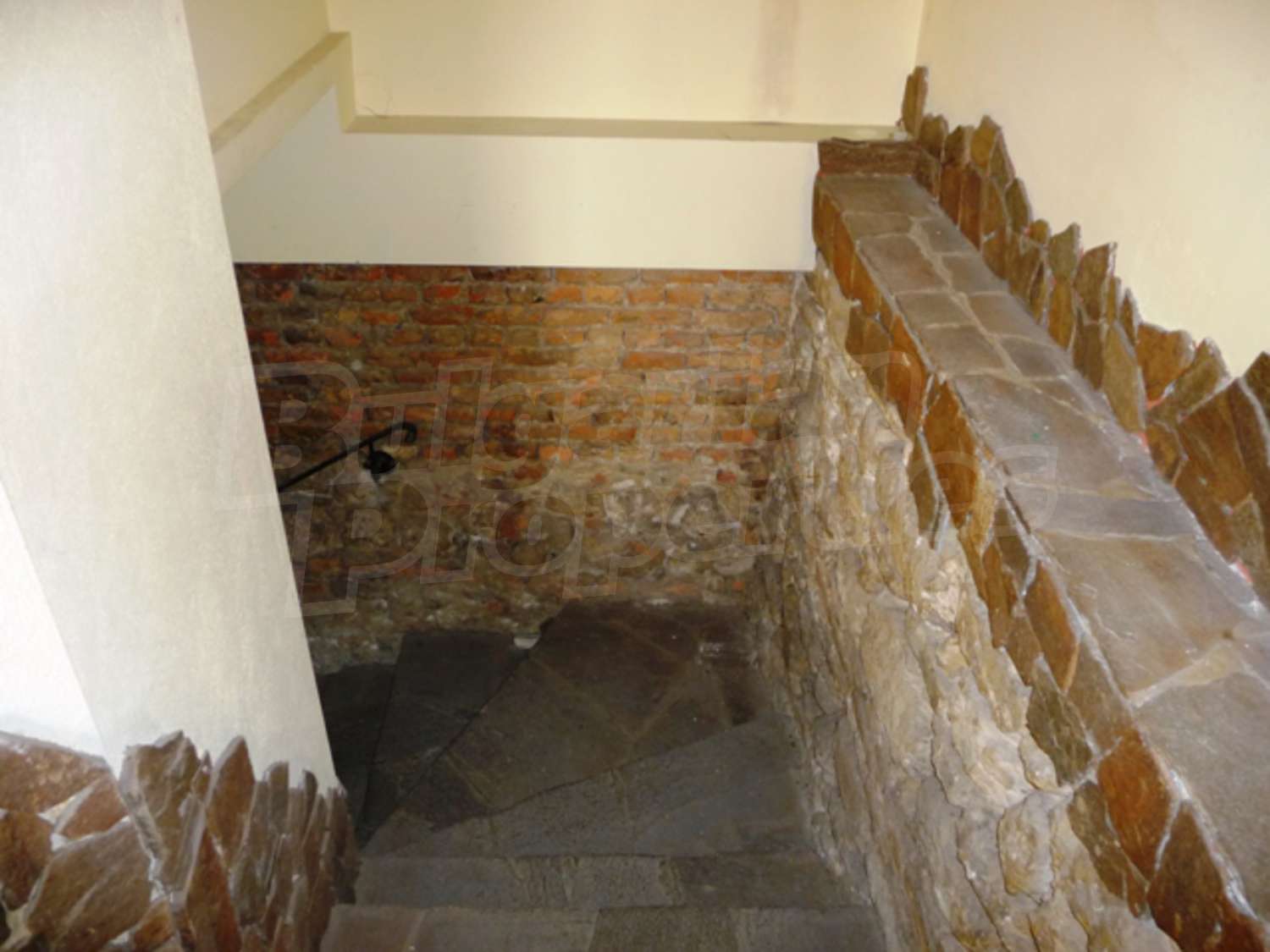 Gallery Picture 11