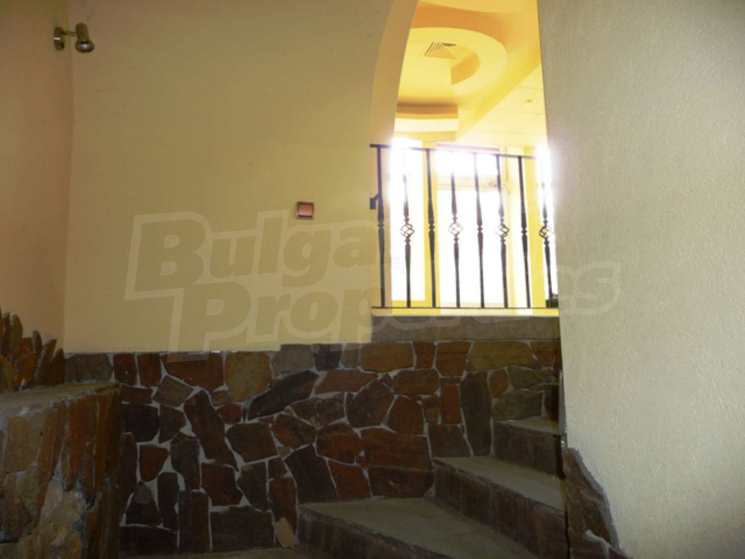 Gallery Picture 23