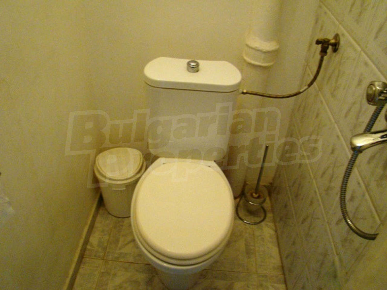 Gallery Picture 13