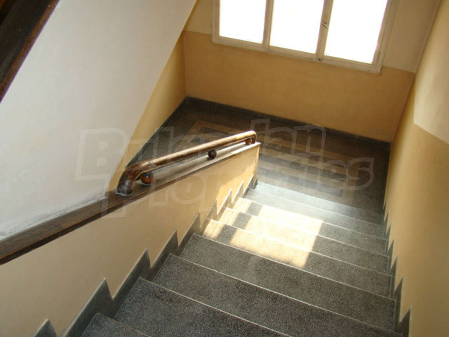 Gallery Picture 19