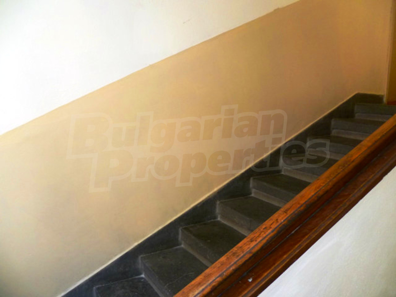 Gallery Picture 15