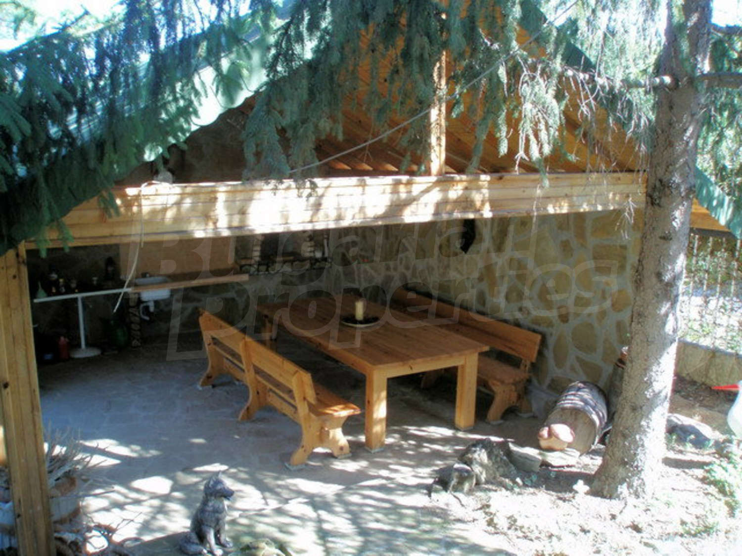 Gallery Picture 10