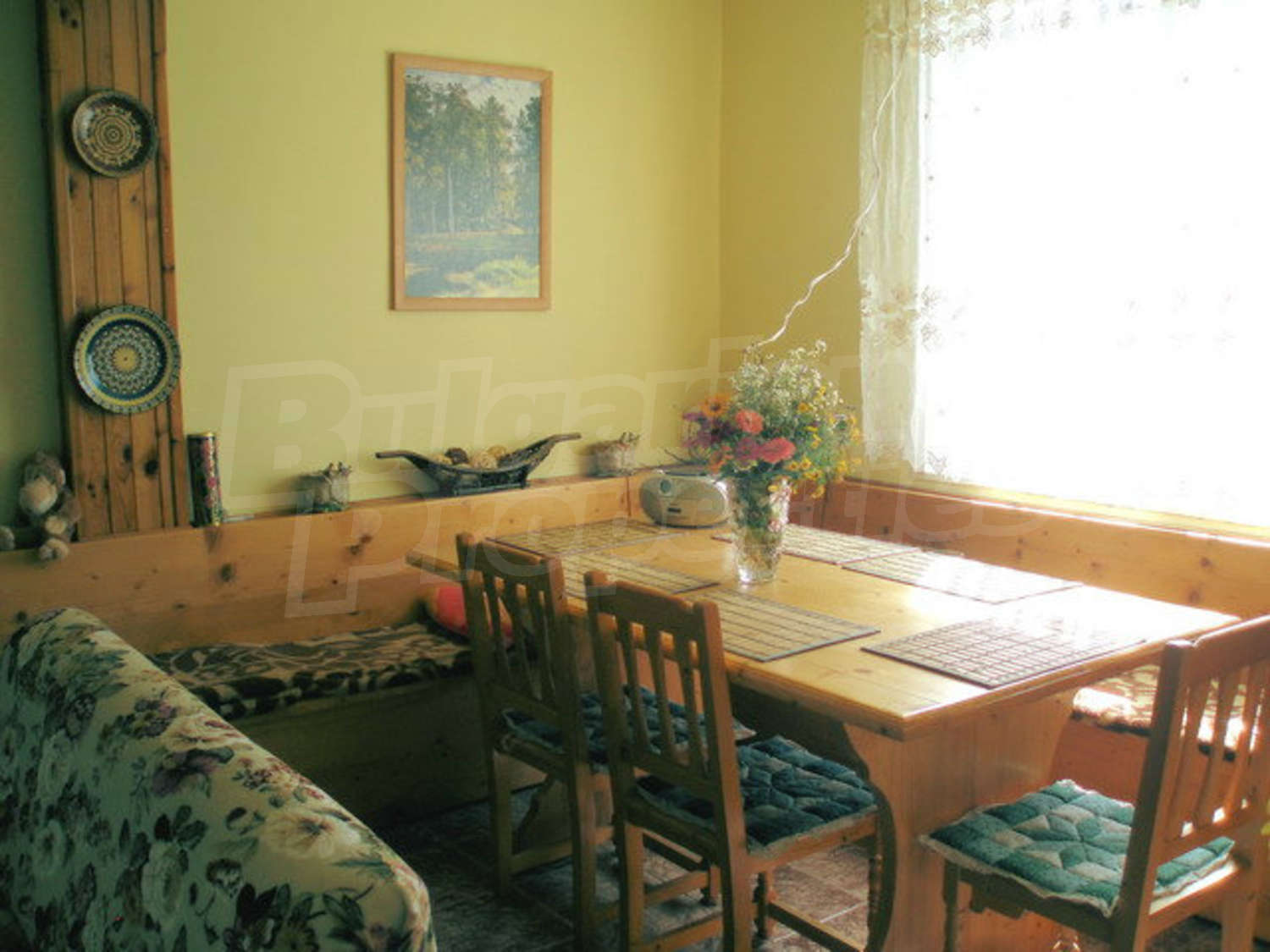 Gallery Picture 12