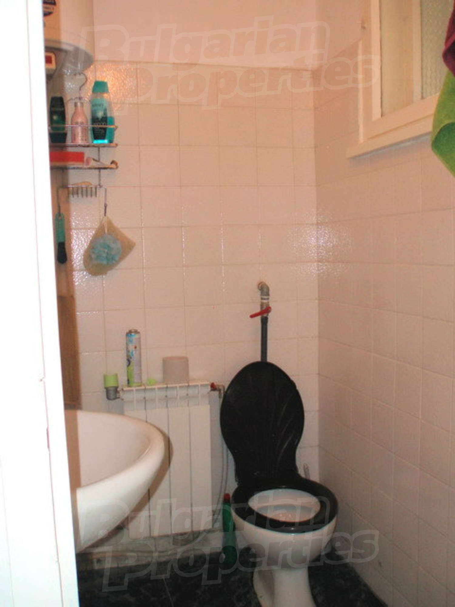Gallery Picture 14