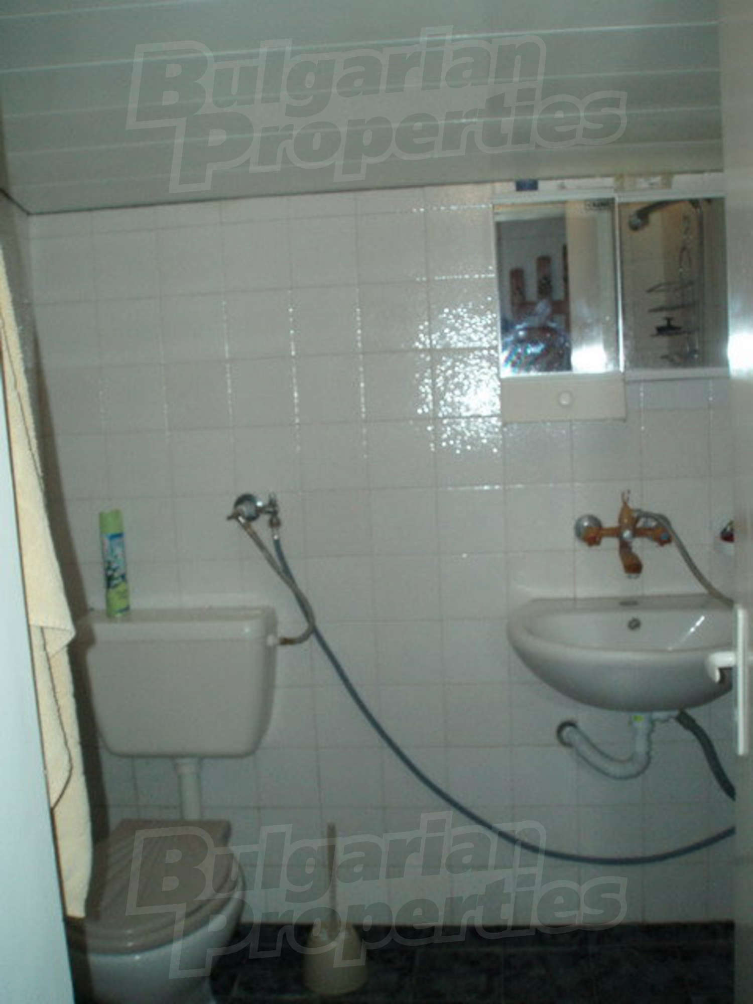 Gallery Picture 19