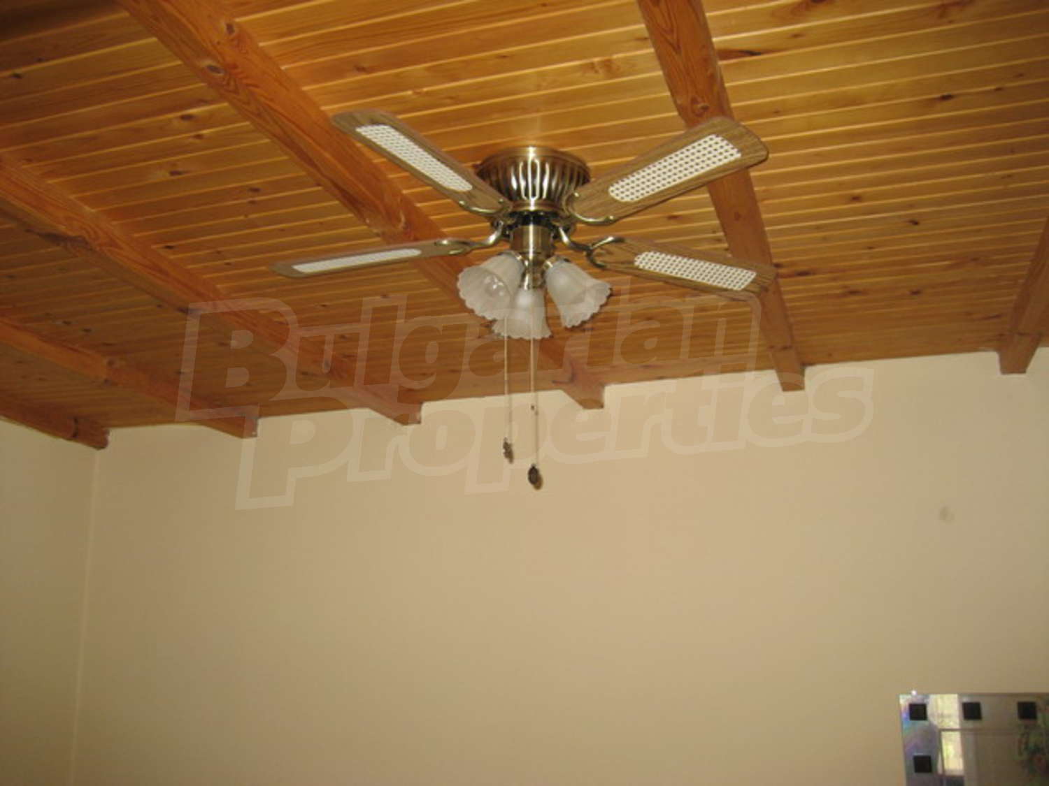 Gallery Picture 24