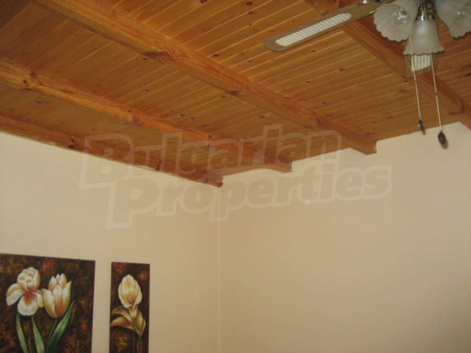 Gallery Picture 26