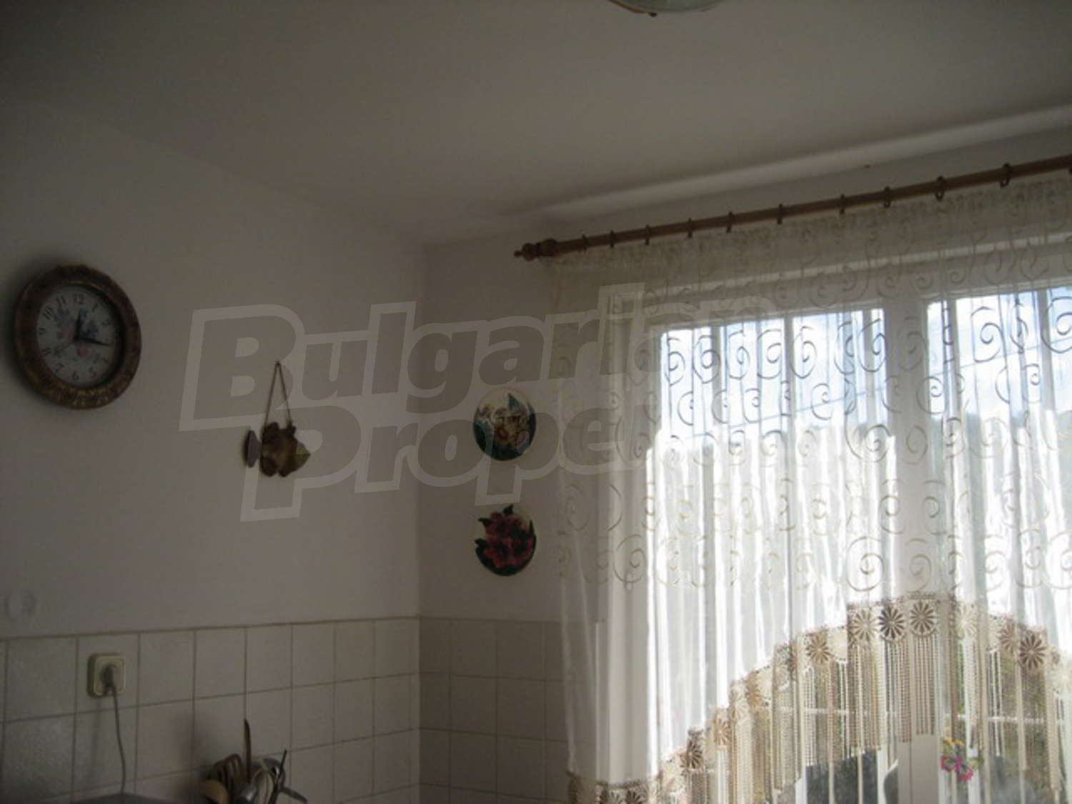 Gallery Picture 27
