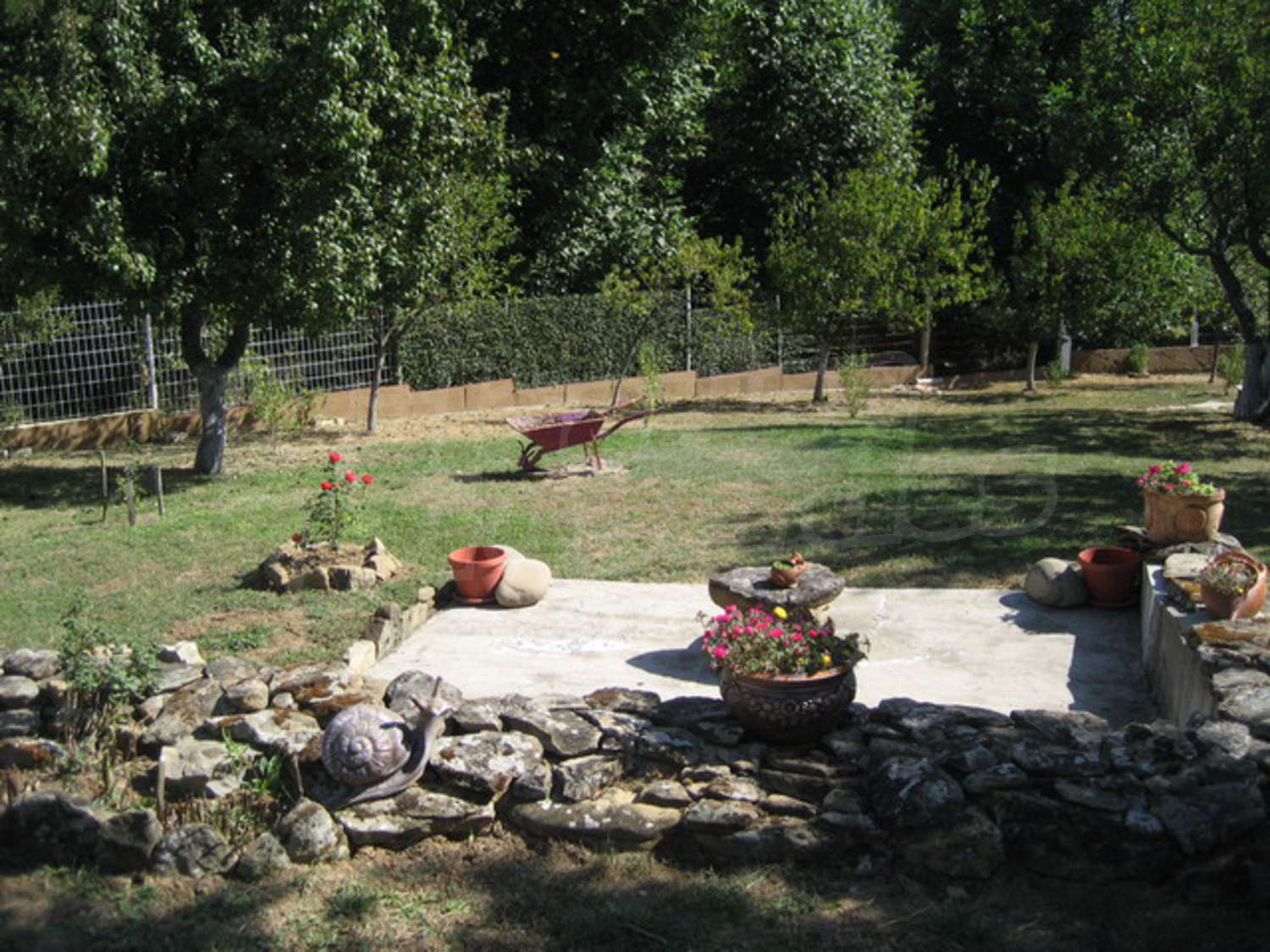 Gallery Picture 30