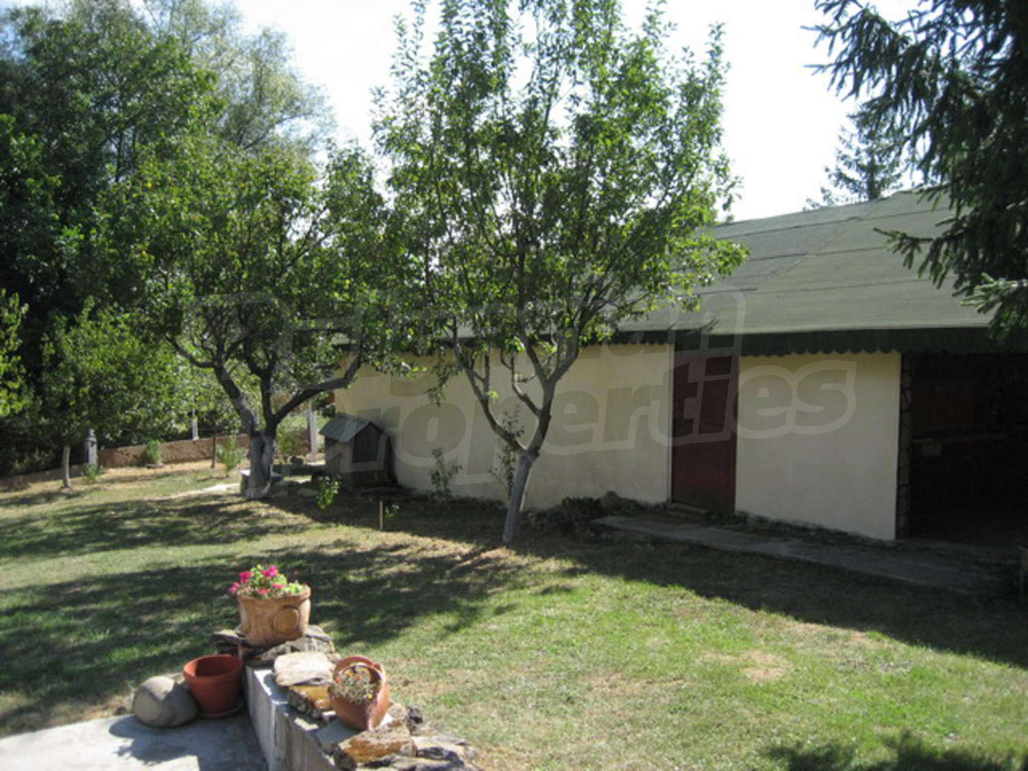 Gallery Picture 31