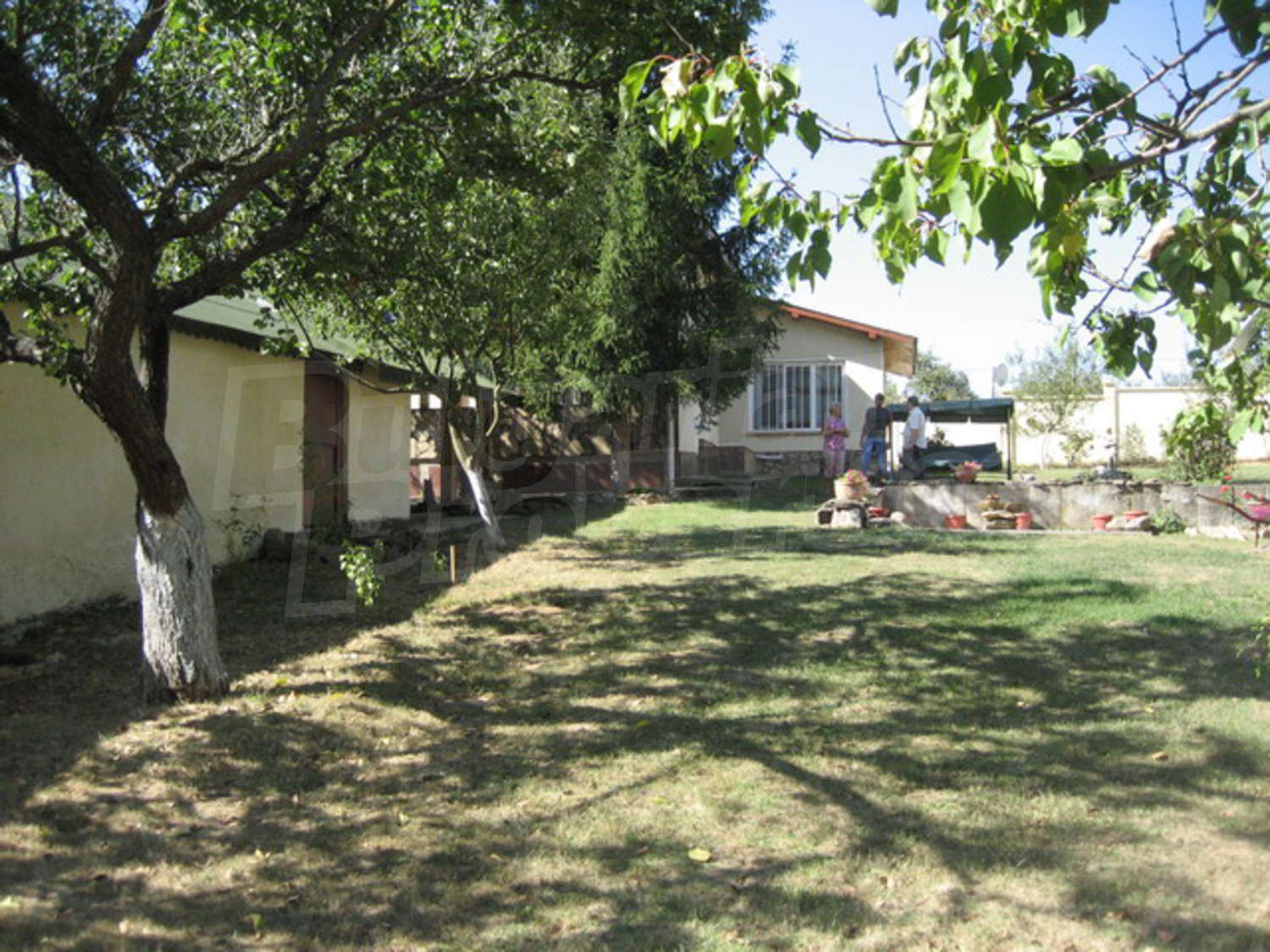 Gallery Picture 33